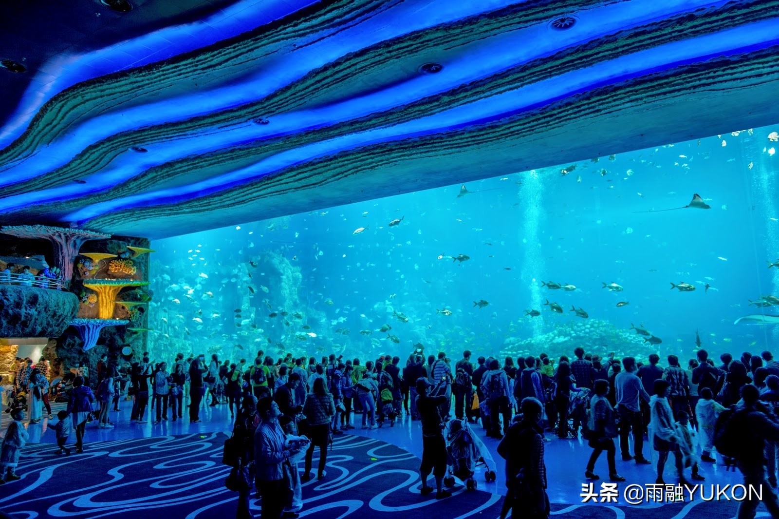 全球第一海洋公园：号称中国民族品牌第一乐园，约400元门票
