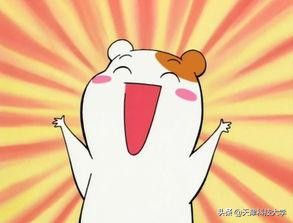 清明出游攻略天津附近,清明节从天津出发玩什么比较好