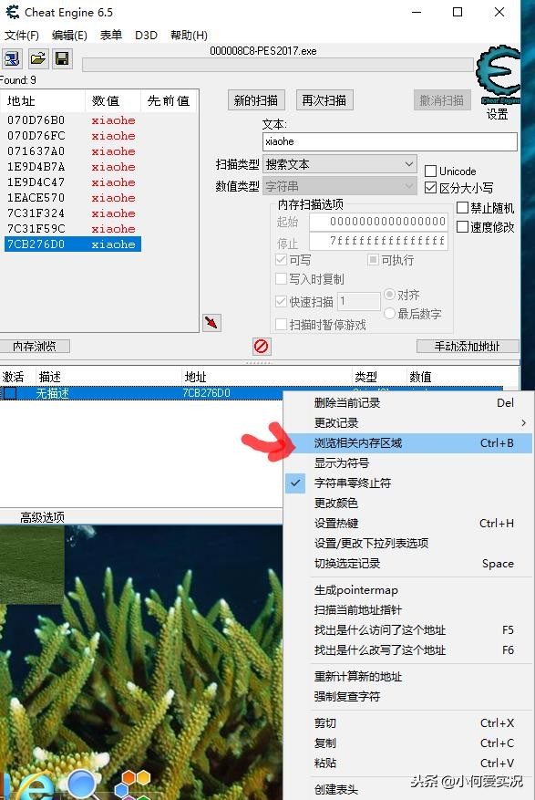 实况足球2023大师联赛修改角色,实况2017大师联赛主教练聘书