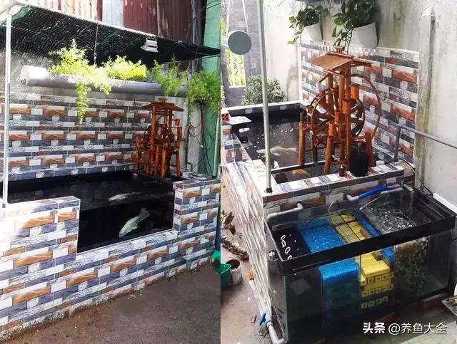 建一个锦鲤池要多少钱,园林锦鲤池建造