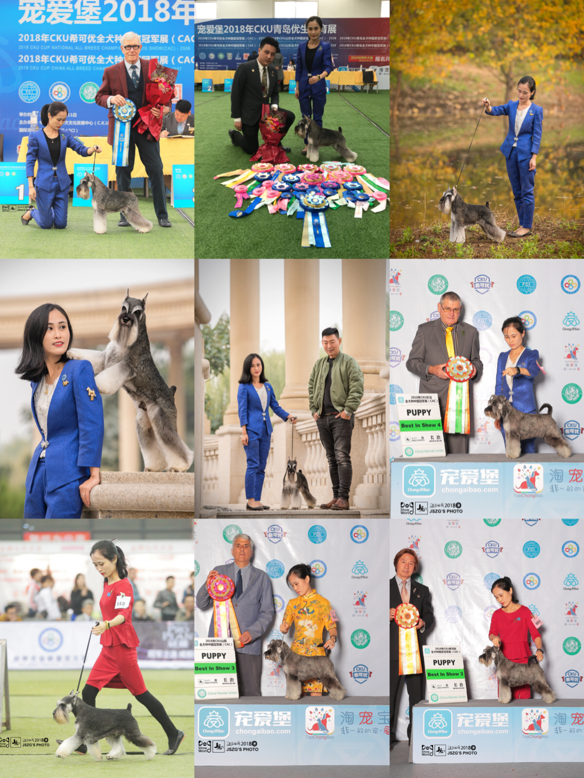 首届宠物美容商业造型交流会暨萌宠修剪赛圆满落幕