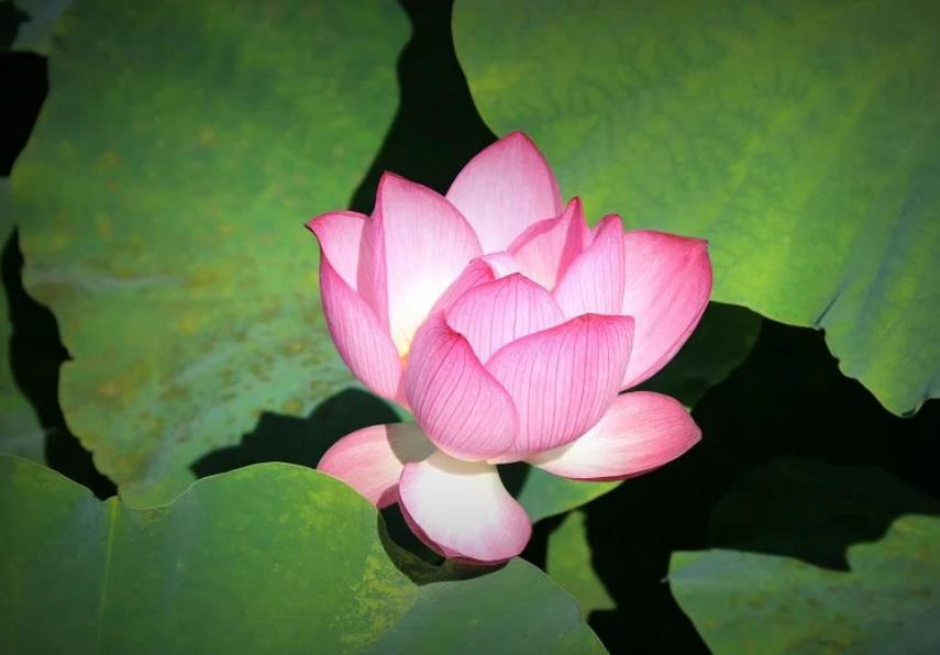 立德立功立言经典语录,夫立德立功立言原文