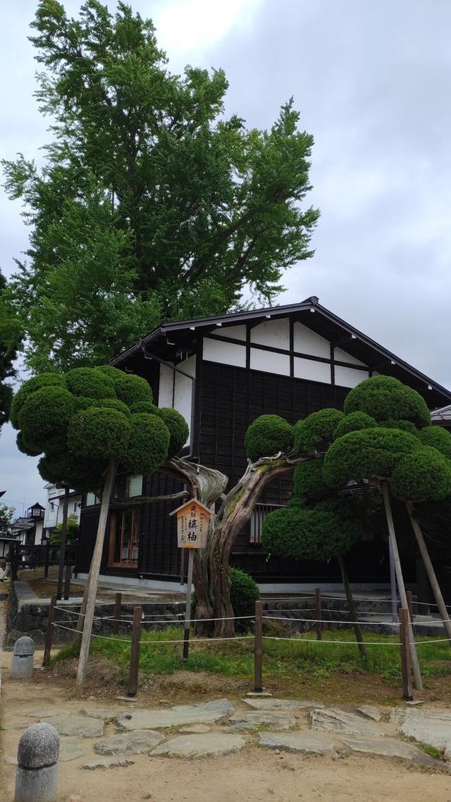 景点打卡日本名古屋乐高公园,日本名古屋乐高公园