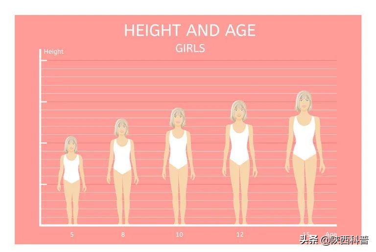 女汉子是怎么样炼成的,女人是怎样炼成的