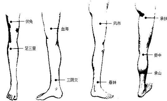 解析针灸治病的八种方法,针灸治疗打呼噜教学视频