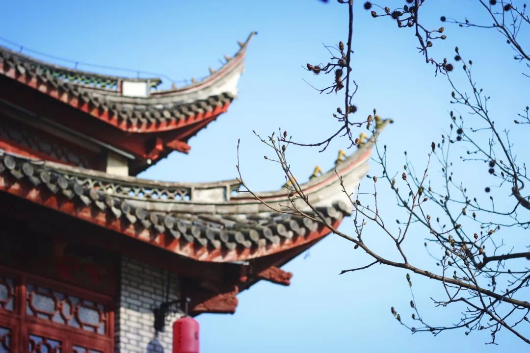 腹有诗书气自华语录,诗书气自华经典名句