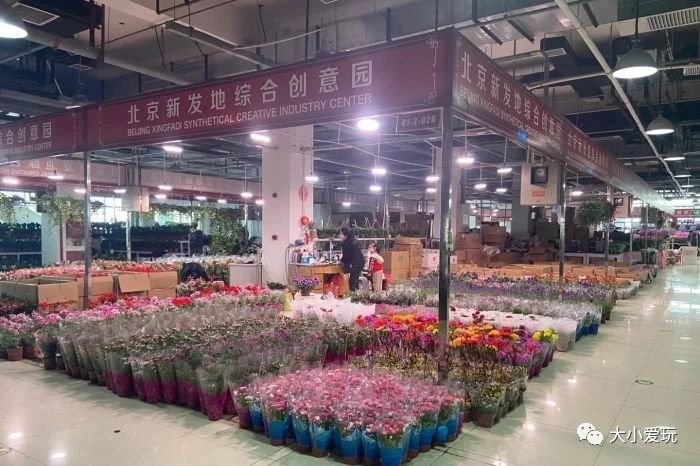 过年必逛花卉市场,北京值得去的花卉市场