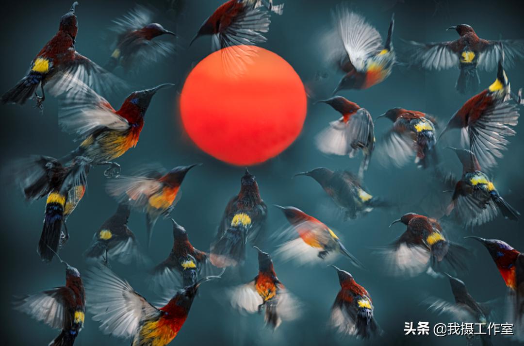 第16届国际摄影艺术展获奖作品,第29届全国摄影艺术展览作品集