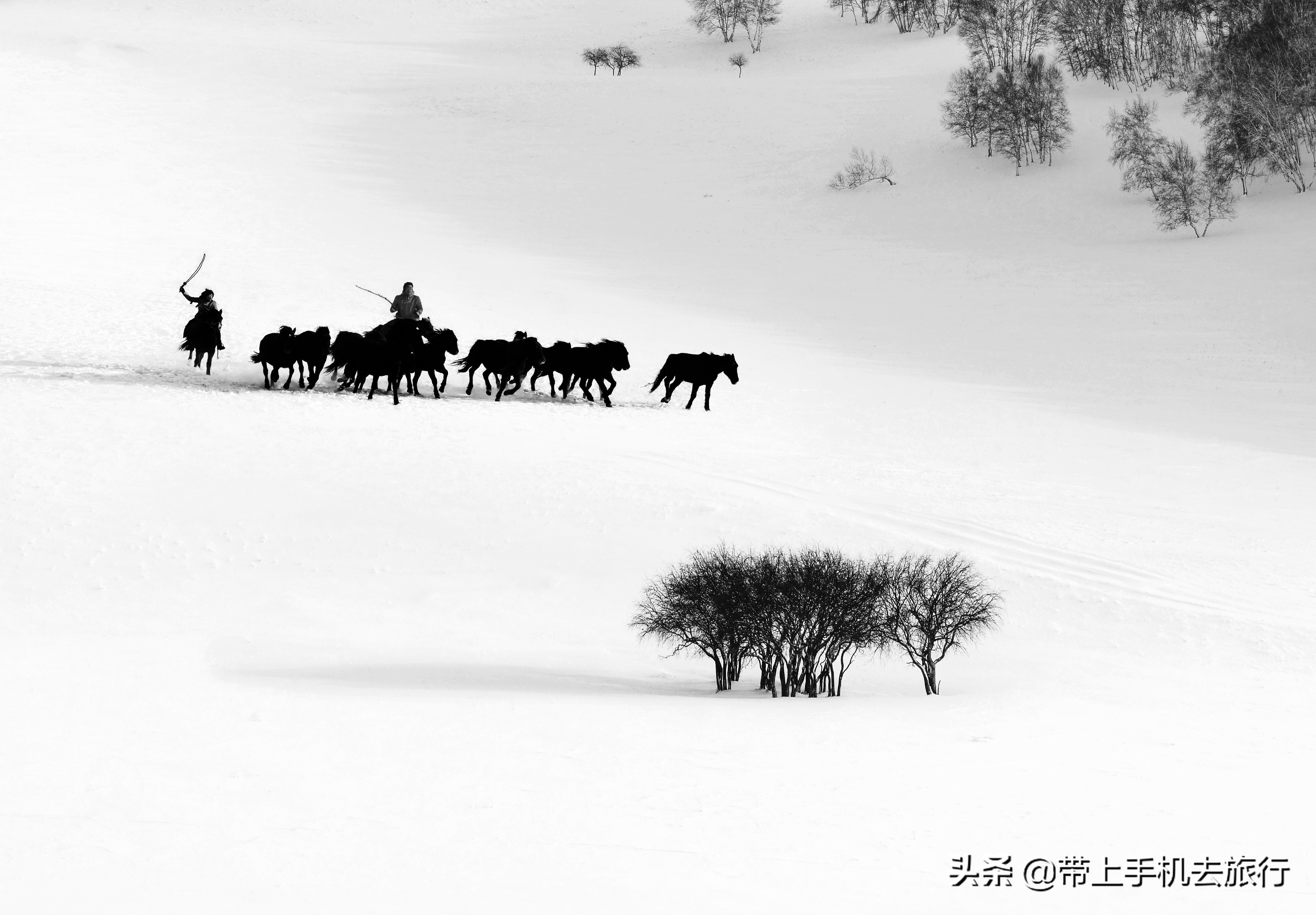 黑白效果适合什么照片,怎样才可以拍成黑白照片