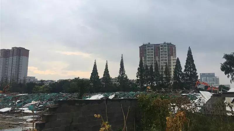 再见了淮海中路,再见了陌生人徐州