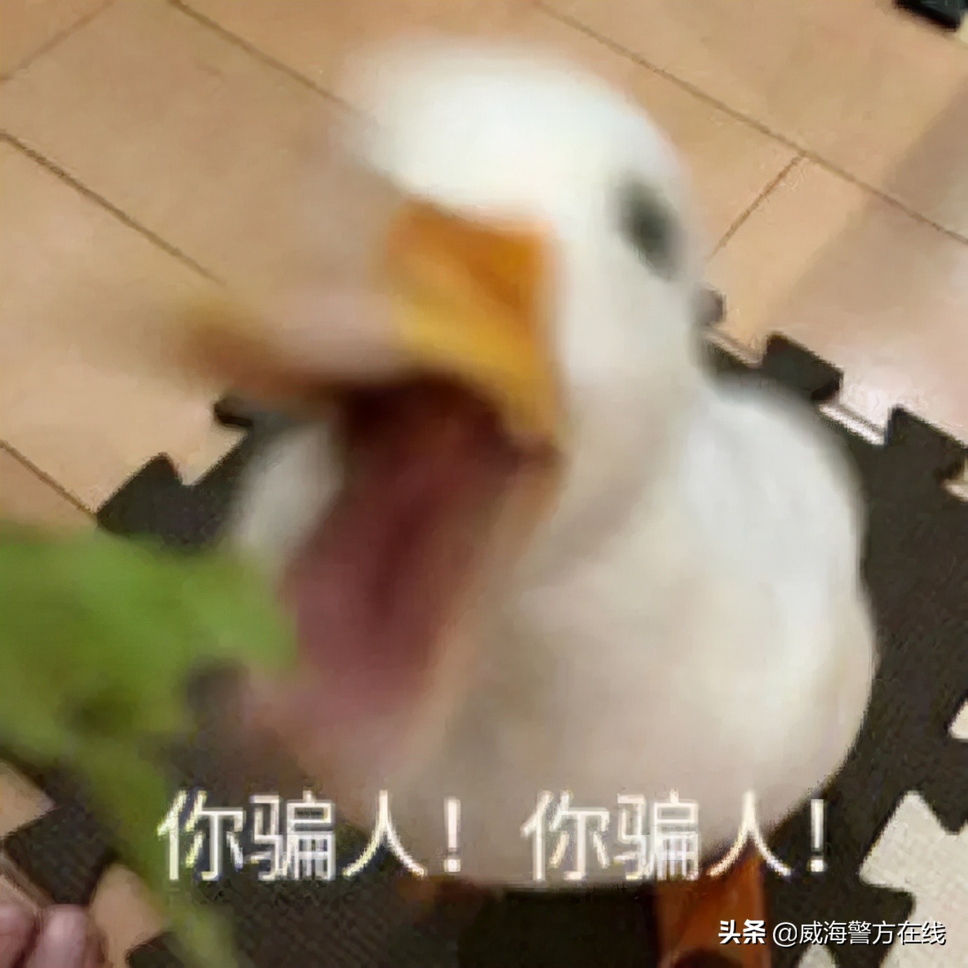 帮赞挣钱,帮别人点满意度怎么赚钱