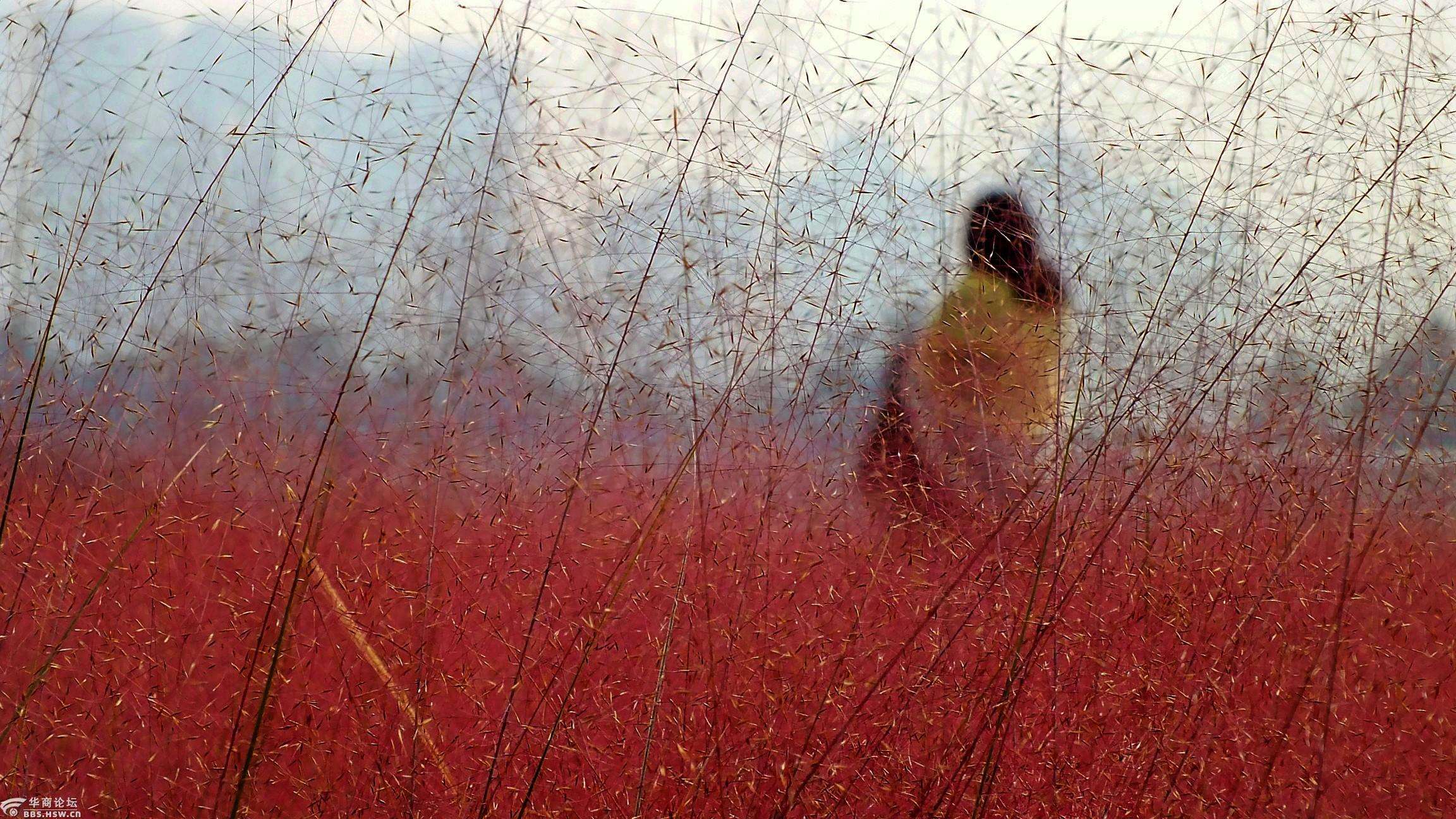 爱上特种兵影视片段,爱上北斗星男友电视剧
