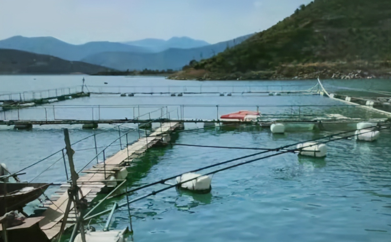 最高检长江经济带典型案例第三批,湖北长江经济带