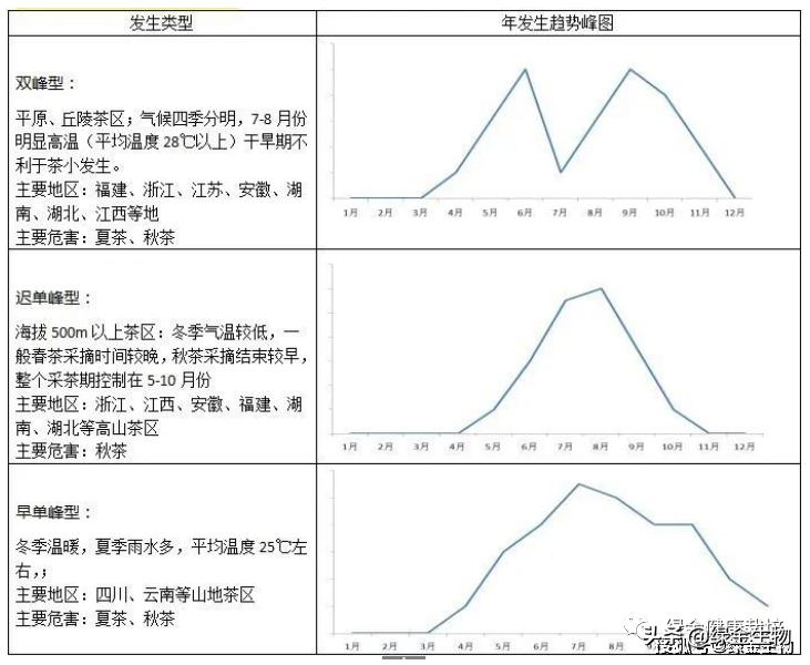 小绿叶蝉发生规律,小绿叶蝉的发生特点
