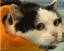 孩子游泳的坏处,小孩游泳到底好不好