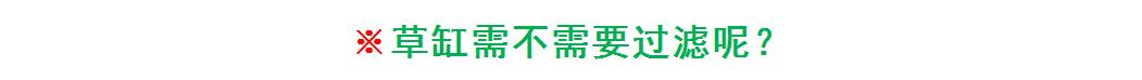 入坑草缸的两个作品,新手草缸用什么过滤最佳