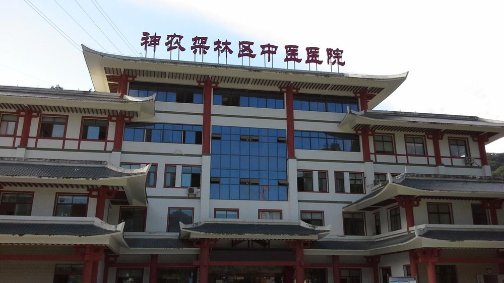 湖北省中医医院标志,湖北省洪湖市中医医院