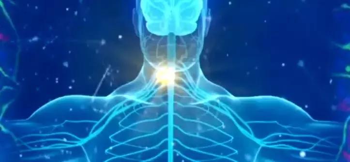 一针治百种病症 (一针治100种病症)