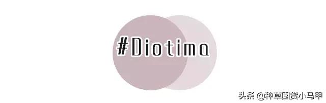 专柜出现假货新闻,专柜售假是真的吗