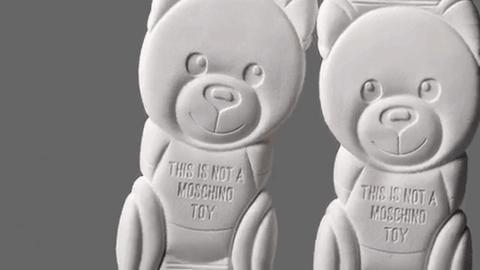 倪妮同款小猫咪,倪妮李宇春奇妙的动物