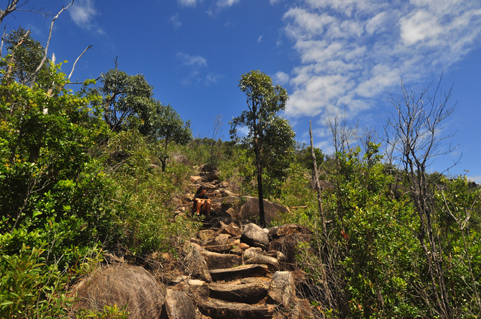 全民热遗｜大堡礁上有个翡翠岛，绝美好玩，还是海龟康复中心