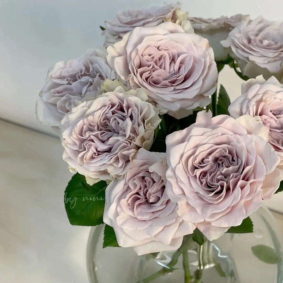 资讯信息类应用场景包括,商务资讯有哪些