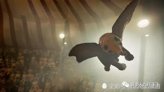 小飞象和猫头鹰影评,电影小飞象观后感影评