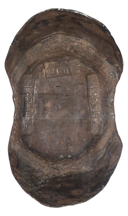 西泠拍卖2021春拍钱币,2023西泠秋拍钱币成交价