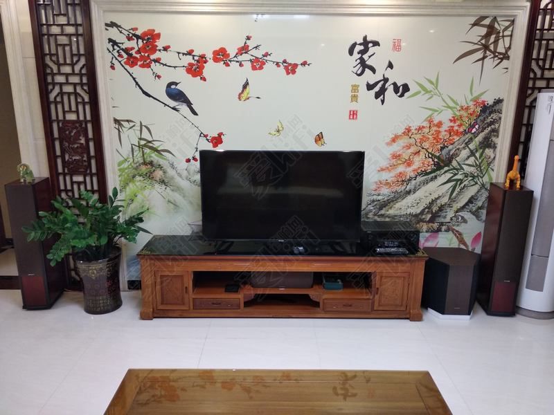 如何打造5.1家庭影院,入门级家庭影院解决方案