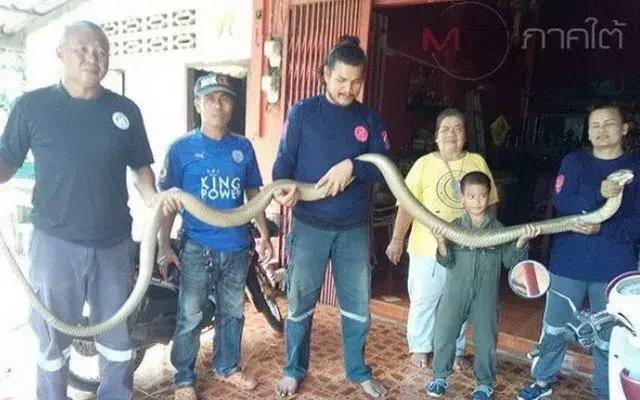 泰国彩票怎么兑奖,泰国彩票开奖方式