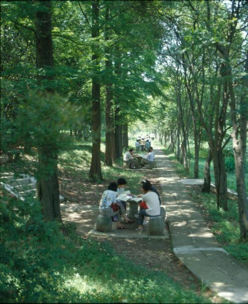 湖北高校解读（二）华中科技大学