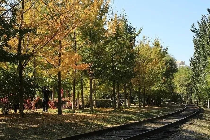 北京东五环新建公园大全,北京新开40个公园详细位置公布