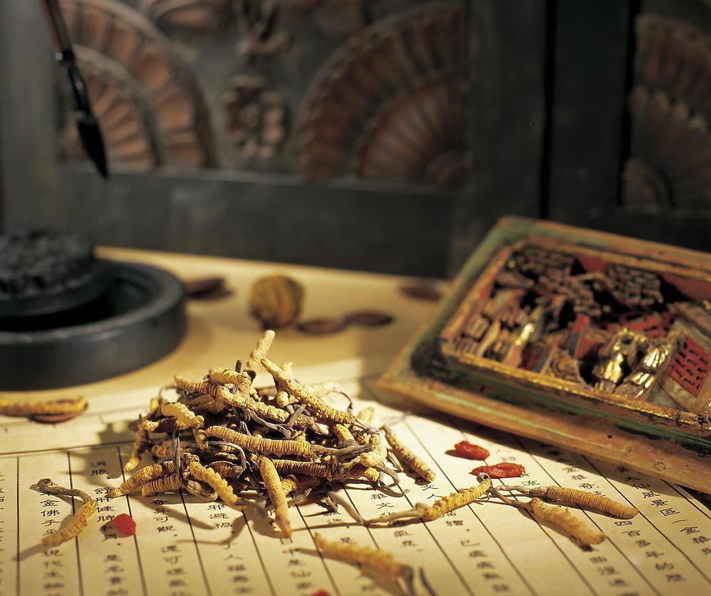 老梁讲述中医中药,老梁说中药材