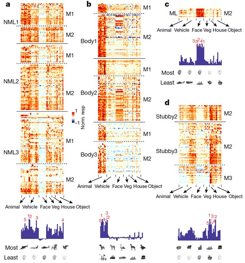nature发现背后的机制,nature详细解析