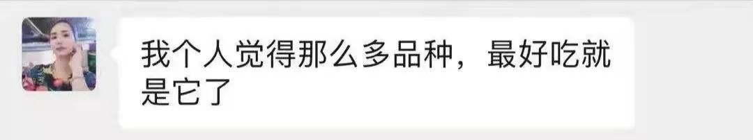 超香甜糯玉米图片,很好吃很糯的玉米