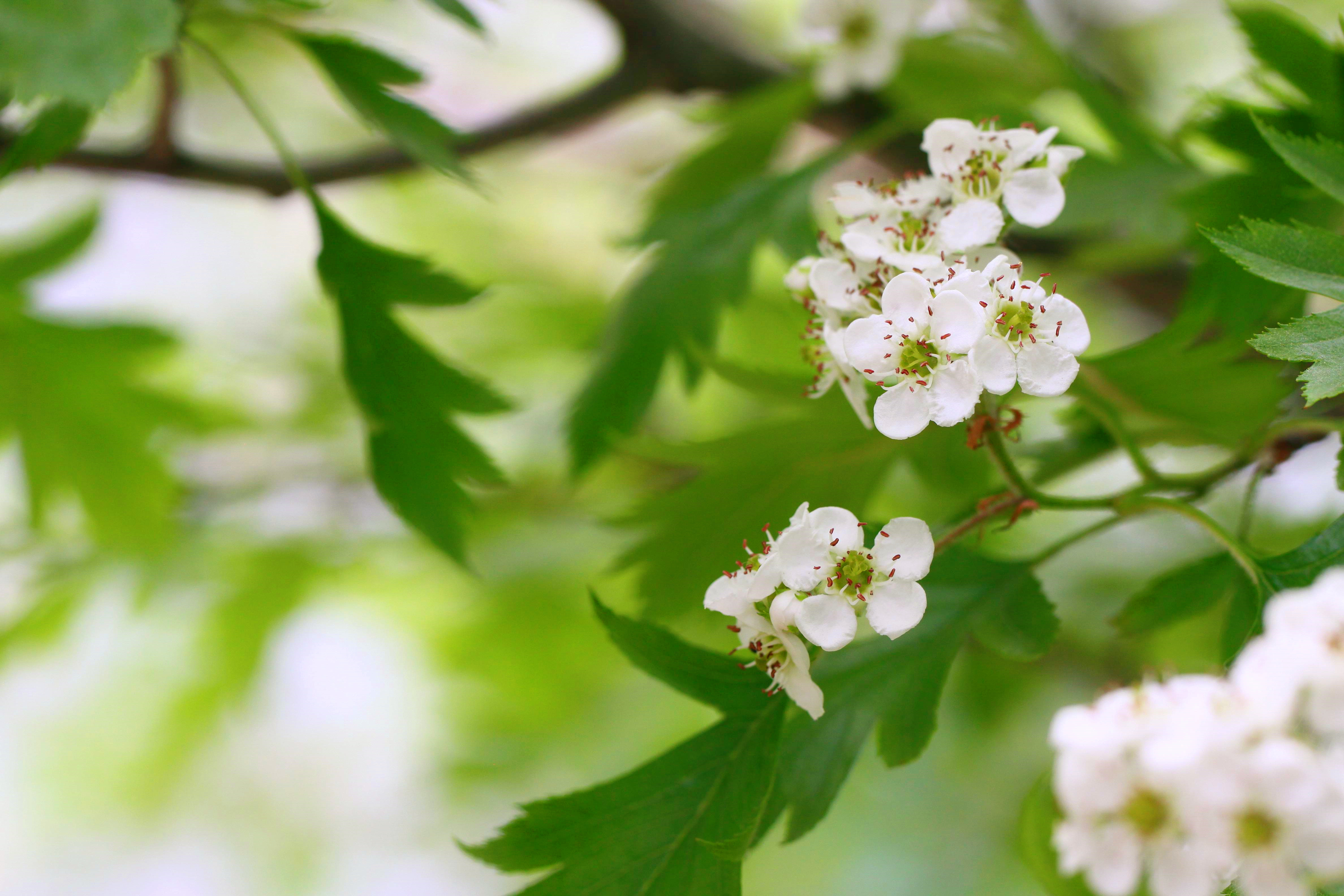 缺爱缺安全感的人如何自愈,从小缺爱的女人治愈的方法