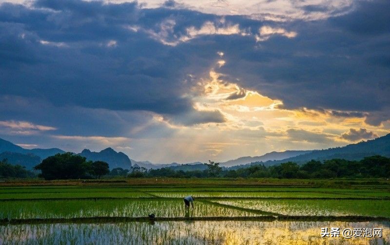 阳春田园风景视频,阳春春湾镇风景视频