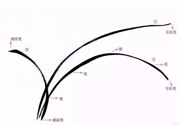 兰花绘画技法教程视频,泰国兰花绘画技法