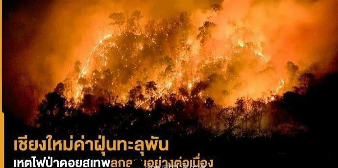 泰王带了几个妃子,泰王带20个嫔妃出游度假