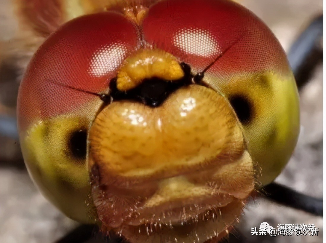 商用毫米波相控阵,毫米波有源相控阵芯片