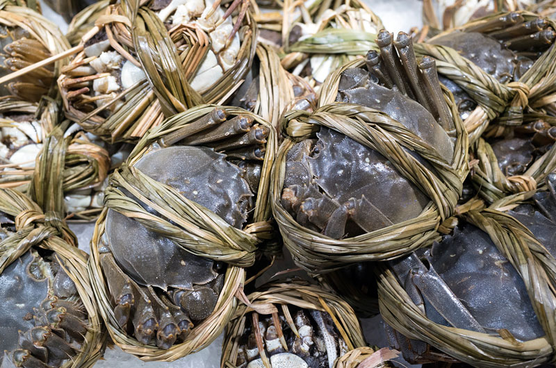 蟹稻共养丰收,蟹稻共生