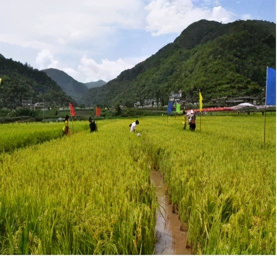 云南禄丰旅游线路攻略图,云南冬季自驾游最佳线路图