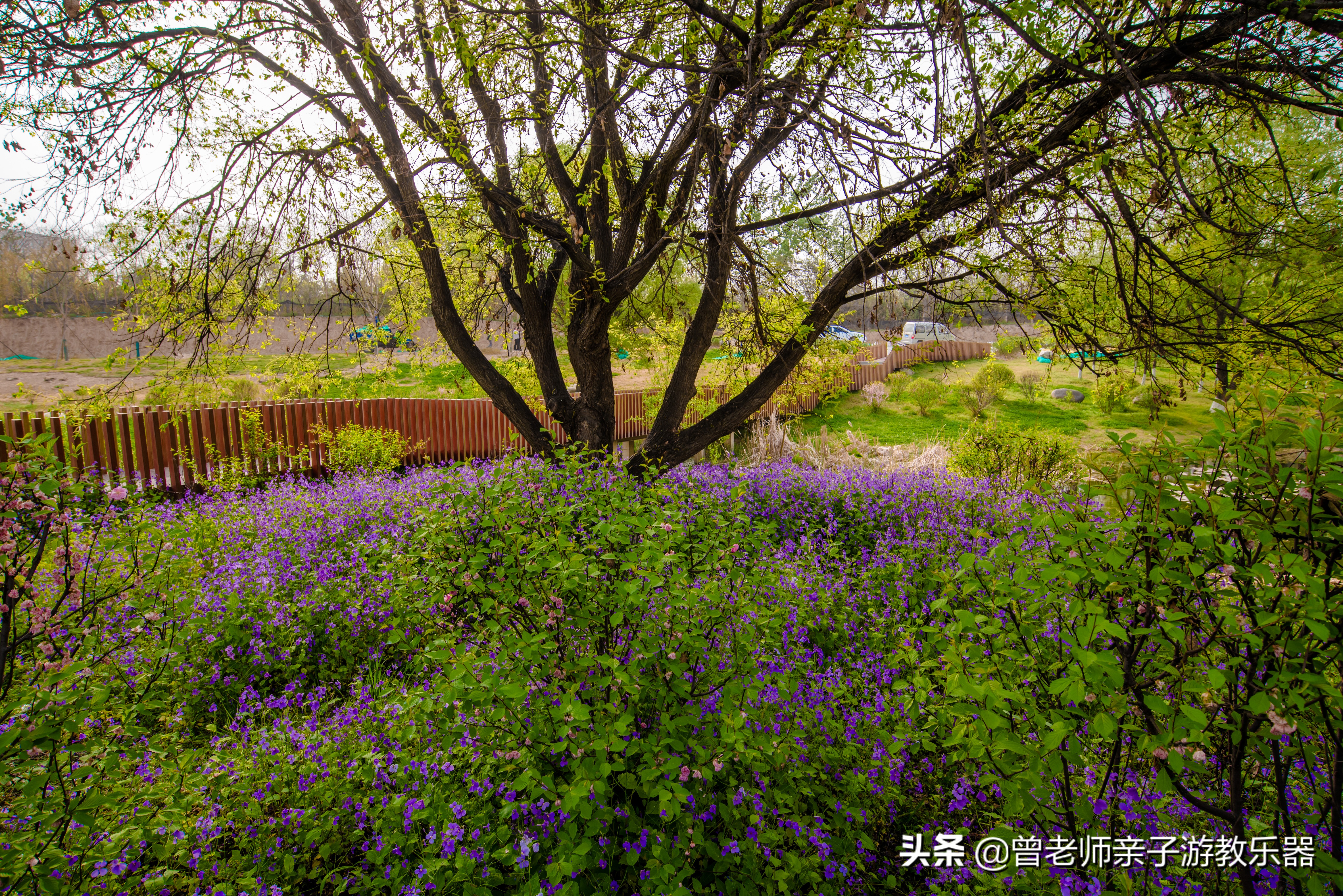 2022西安遛娃一日游的绝佳去处,2022年春节西安遛娃去哪玩最合适