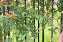 星巴克冰淇淋有卖的吗,星巴克新品买一送一