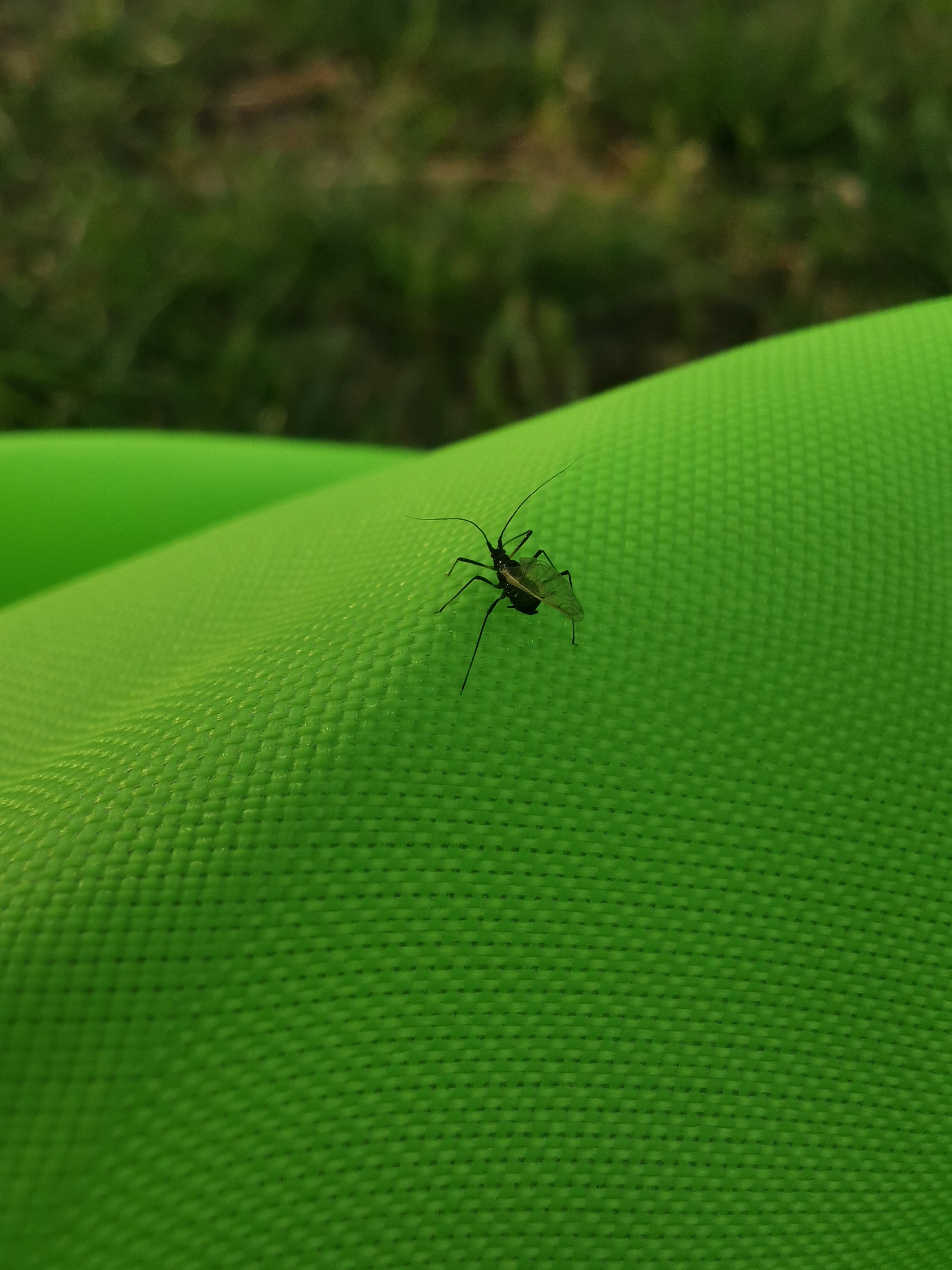 大唐浅水湾足浴店,大唐沐足公园店