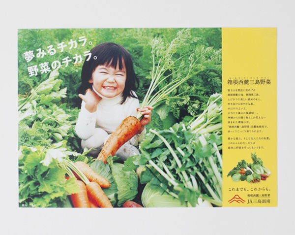 日本摄影大师代表作,日本治愈系照片