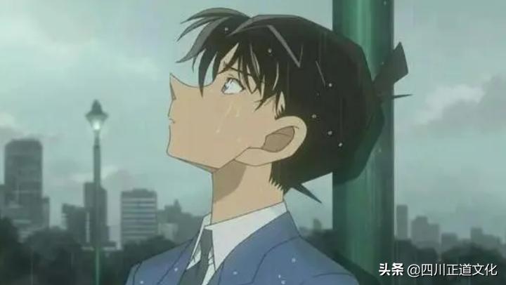 犬养太君是哪个电视剧里的,有一个叫犬养太君的抗日电视剧