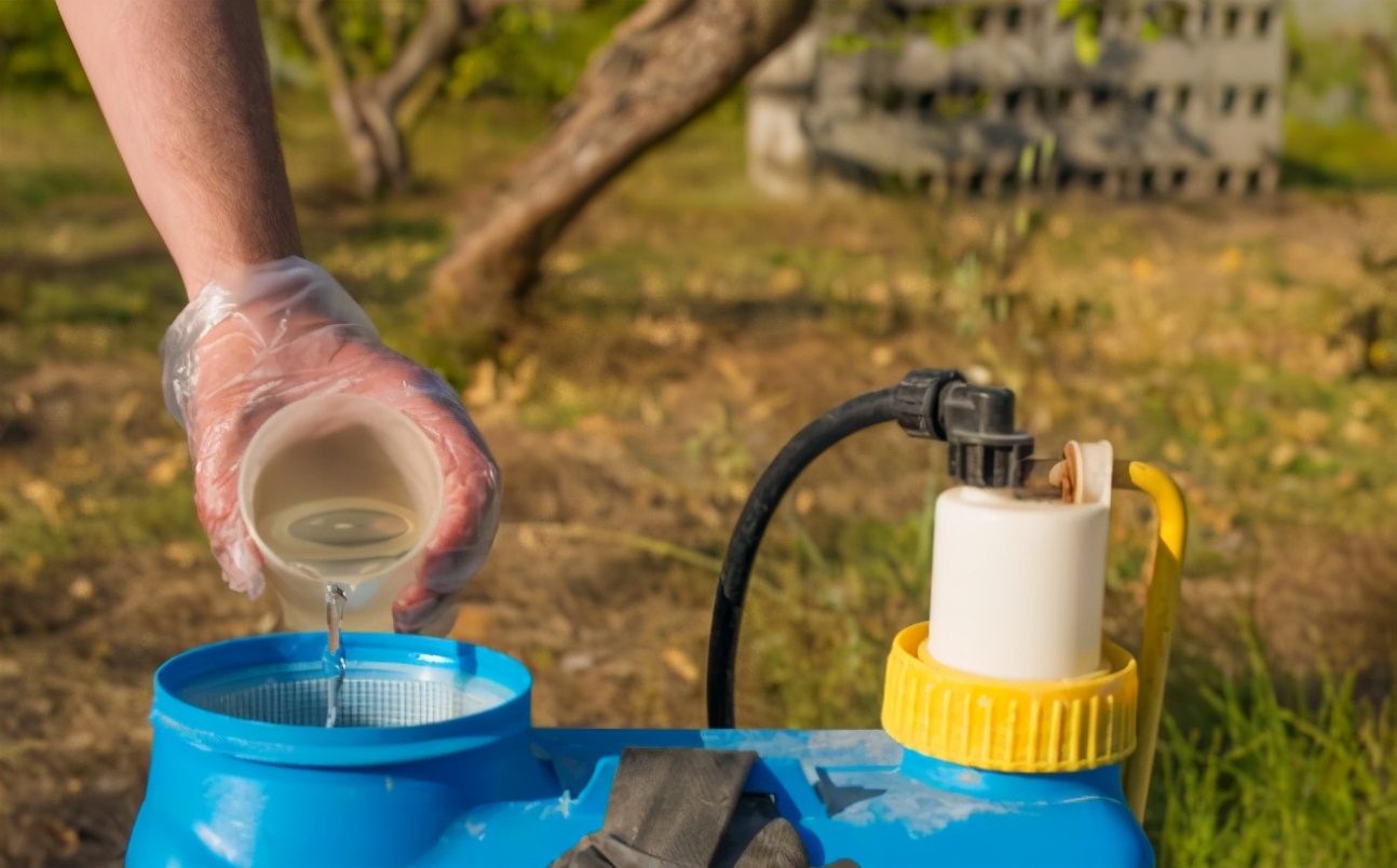 高产田常用生长调节剂,促进作物快速生长用什么调节剂好