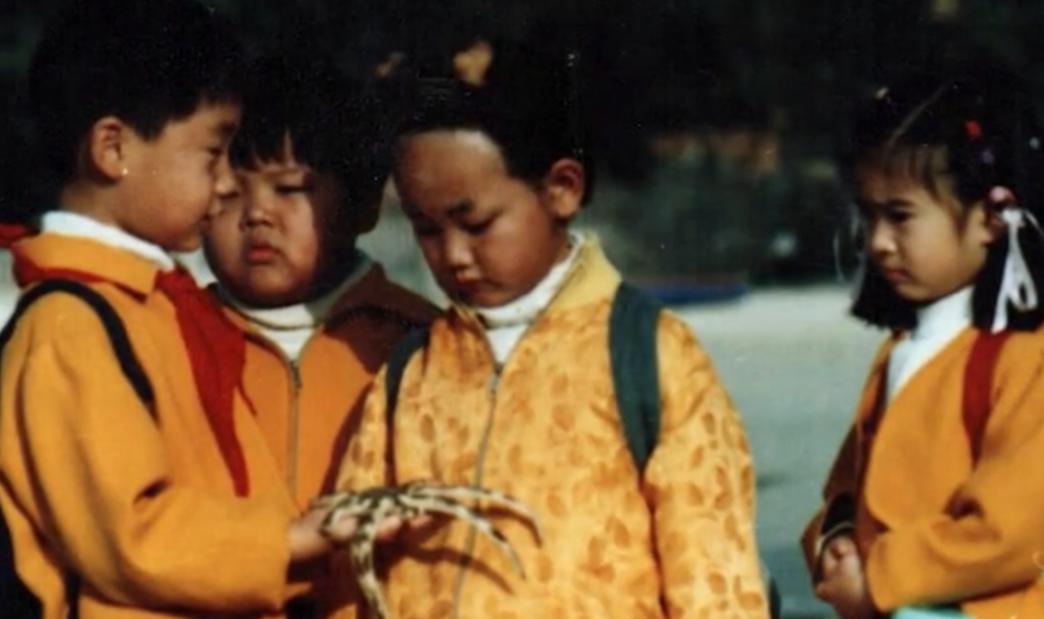 十大童星去世名单,十二位童星今昔对比