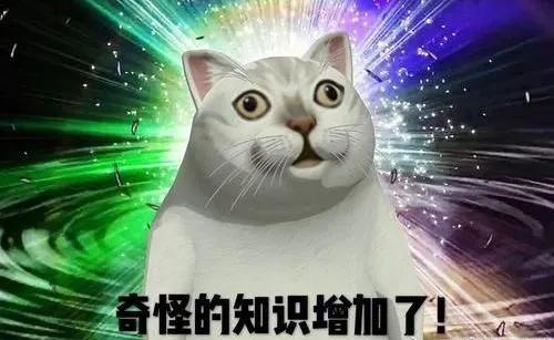 荨麻疹需要忌什么荨麻疹能自愈吗,麻疹处理流程